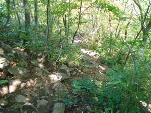 山頂を目指して