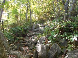 山頂を目指して