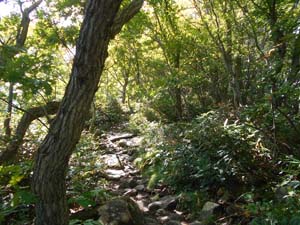 山頂を目指して