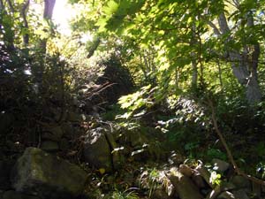 山頂を目指して