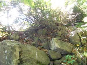 山頂を目指して