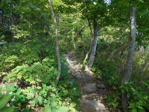 山頂を目指して