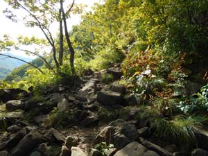 山頂を目指して