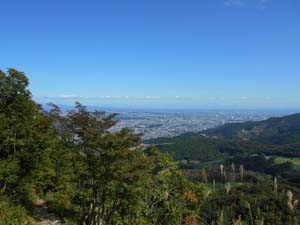 山頂を目指して