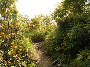 九合目付近から