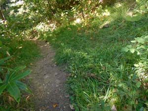 定山渓小天狗岳登山道