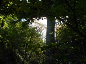 定山渓小天狗岳登山道