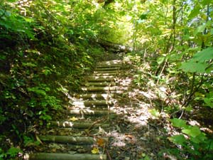 定山渓小天狗岳登山道