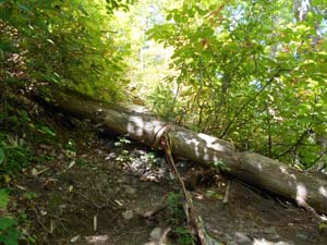 定山渓小天狗岳登山道