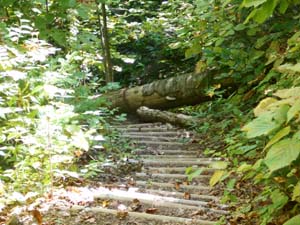 定山渓小天狗岳登山道