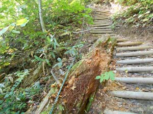 定山渓小天狗岳登山道