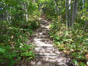 定山渓小天狗岳登山道