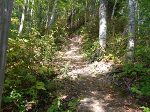 定山渓小天狗岳登山道