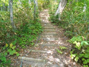 定山渓小天狗岳登山道