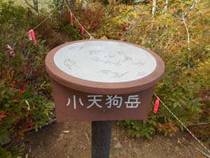 定山渓小天狗岳登山道