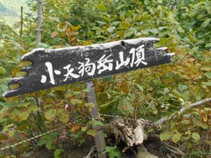定山渓小天狗岳登山道