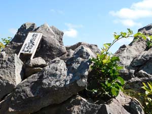 銭函天狗山々頂