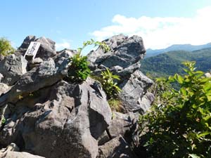 銭函天狗山々頂