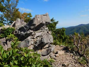 銭函天狗山々頂